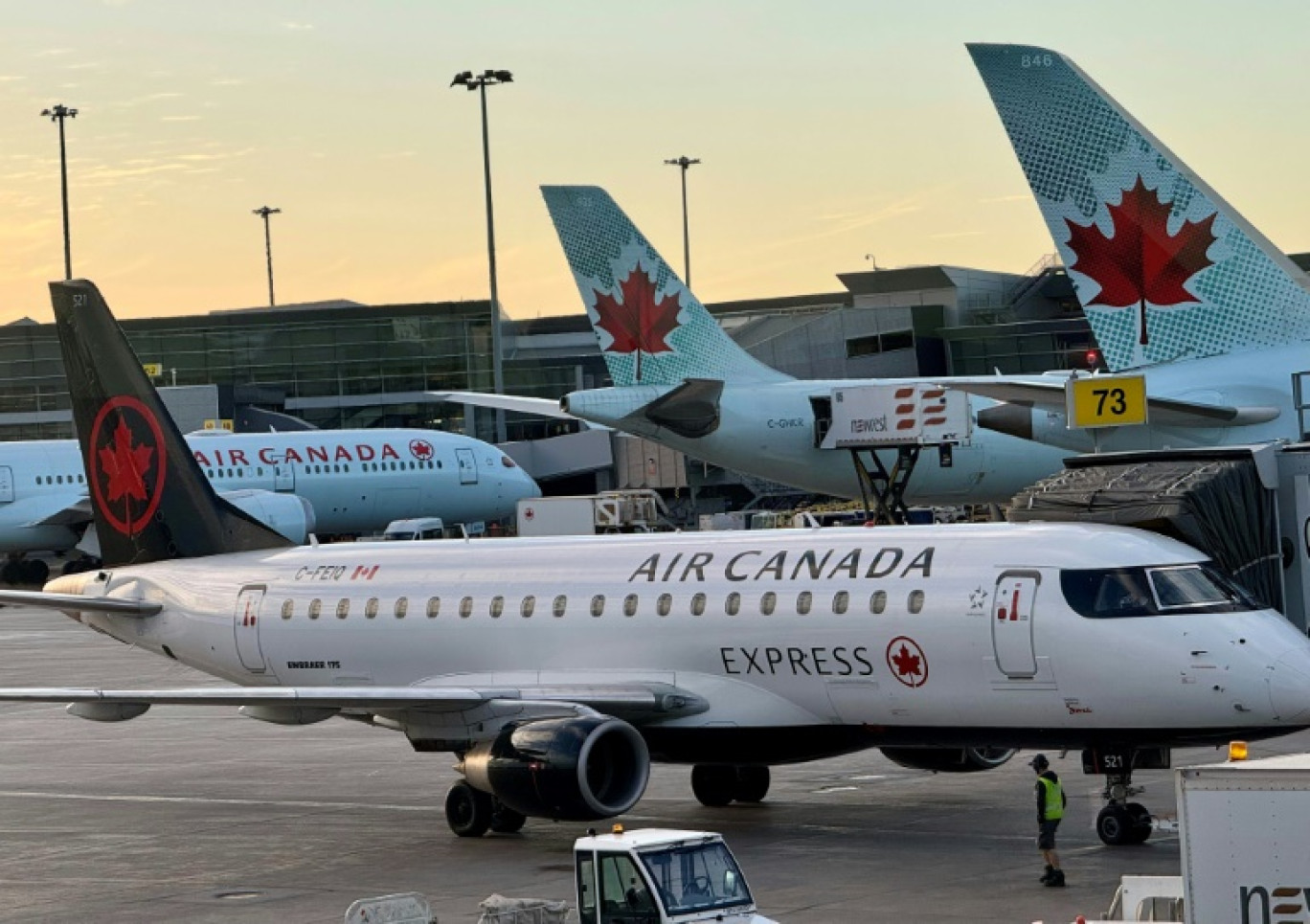 Avions d'Air Canada sur le tarmac de l'aéroport international Montréal-Trudeau au Québec. Photo prise le 2 avril 2024 © Daniel SLIM