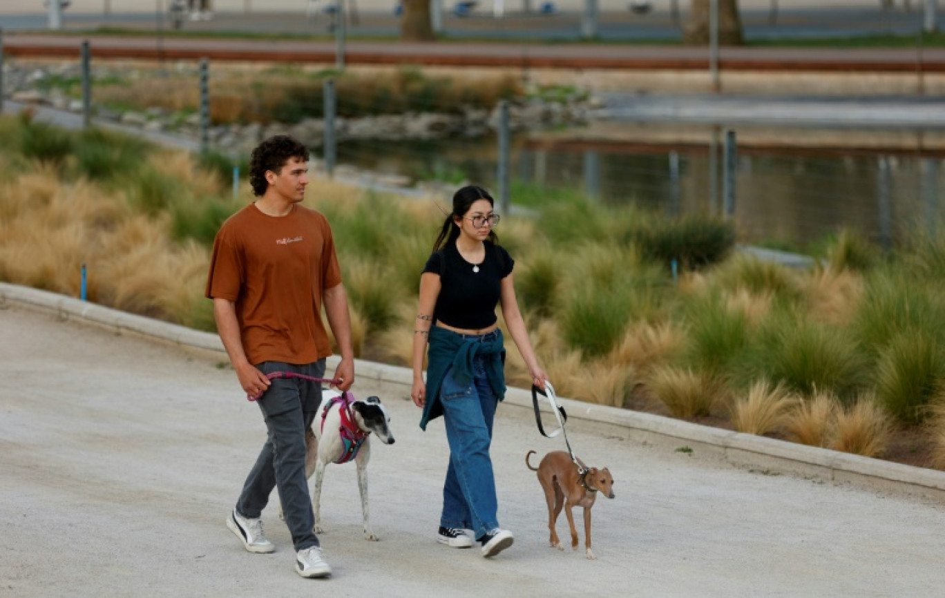 Un couple promène ses chiens dans le parc du Bicentenaire à Santiago le 5 septembre 2024 © RAUL BRAVO