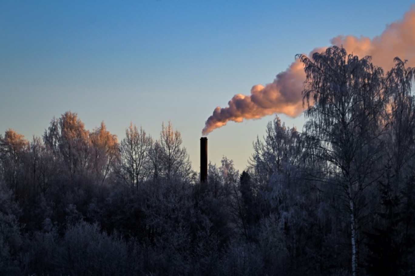 Près de 60% des plus grandes entreprises mondiales cotées ont pris des engagements de neutralité carbone © Olivier MORIN