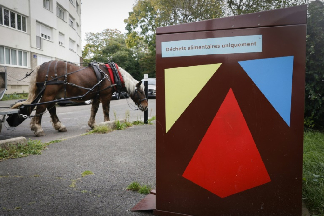 Un cheval récupère des déchets alimentaires, le 16 octobre 2023 à Stains, au nord de Paris © Geoffroy VAN DER HASSELT