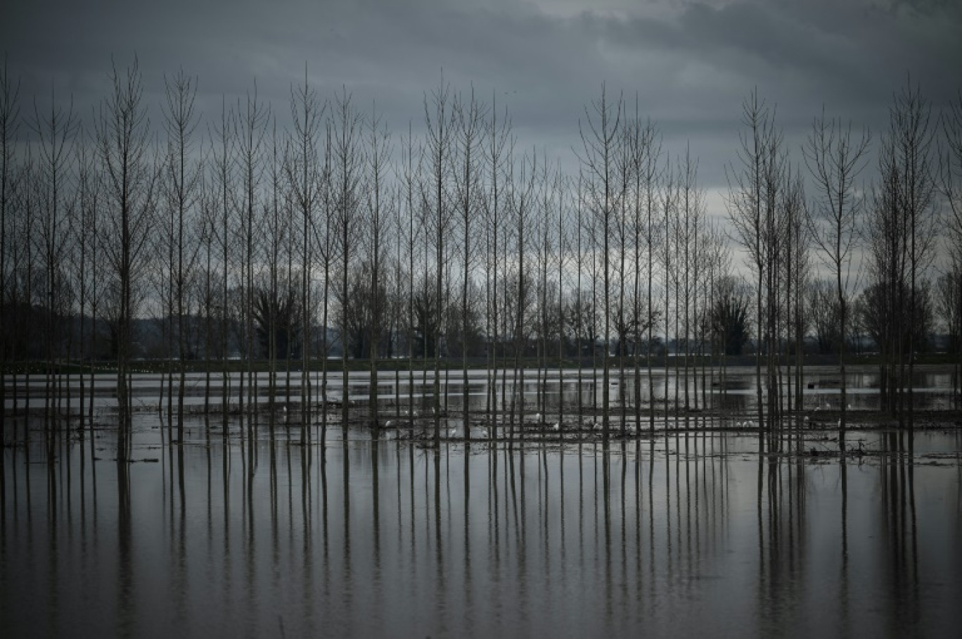 Météo-France a placé jeudi la Seine-et-Marne en vigilance orange en raison du risque de crues, et a maintenu les départemens de l'Isère, l'Ain, la Savoie et la Haute-Savoie en vigilance orange pluie-inondations © Philippe LOPEZ