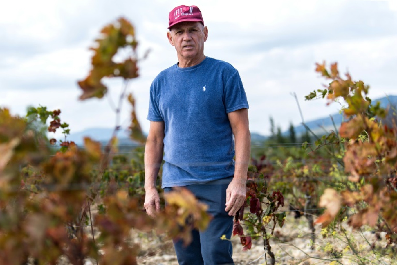 Lilian Copovi, président de la cave coopérative de Leucate, dans un vignoble touché par la sécheresse à Leucate, dans l'Aude, le 23 septembre 2024 © Matthieu RONDEL