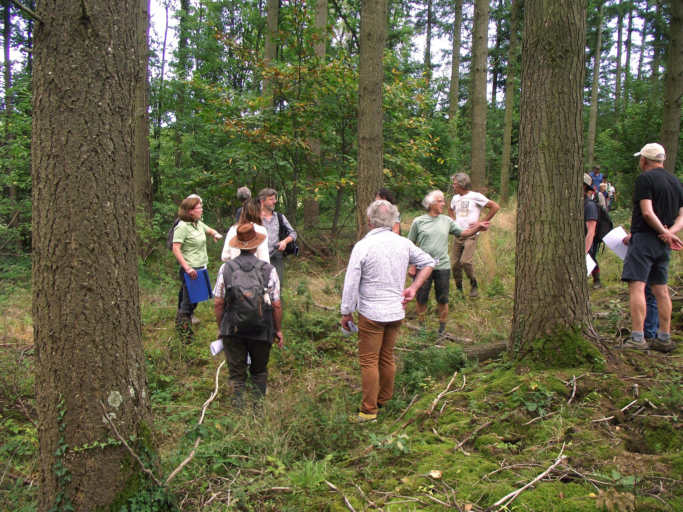 Anciennement propriété de l’Hôpital de Cluny, la forêt de l’hôpital s’étend sur 59,45 hectares et est majoritairement peuplée de douglas et de feuillus. (© Aletheia Press / C.Dalsbaek)