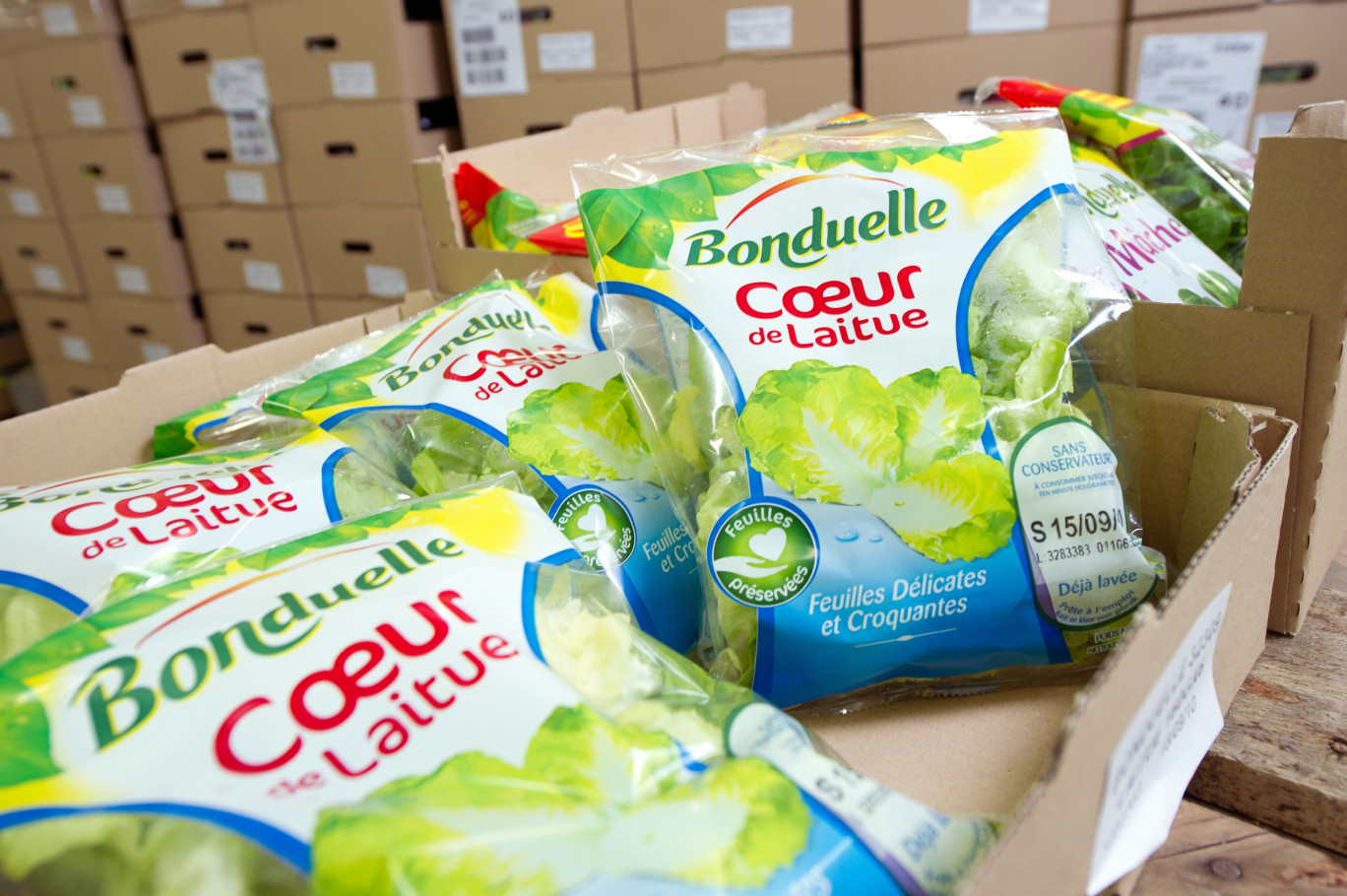 © CCI Meuse-Haute-Marne-GM. Le groupe français Bonduelle vient d’annoncer la cession de son activité de salade en sachet en France et en Allemagne.