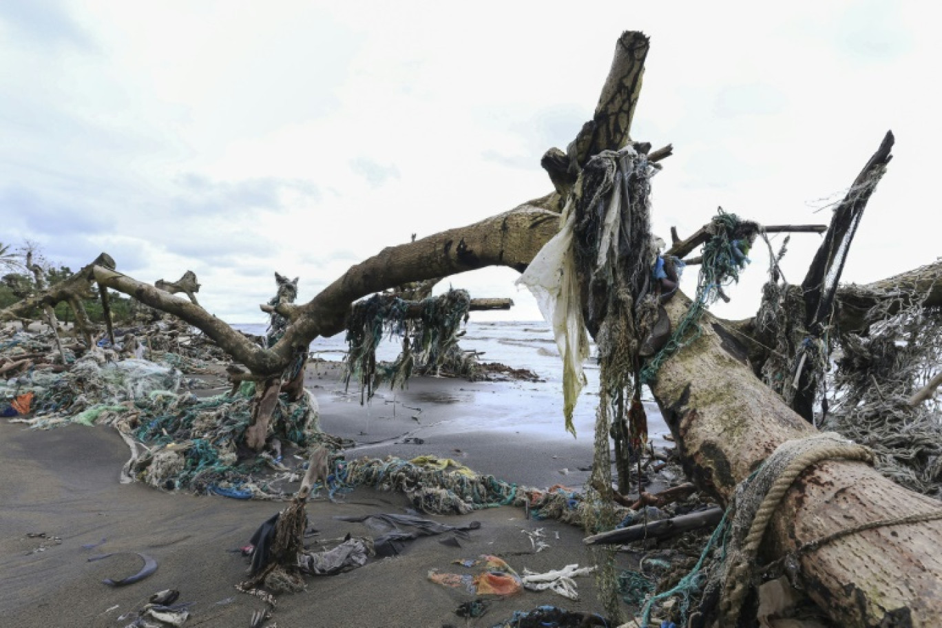 Vue générale de déchets plastique, sacs, filets, textiles pris dans les racines d'une mangrove sur la plage près du village de Toube au Cameroun le 23 septembre 2024 © Daniel Beloumou Olomo