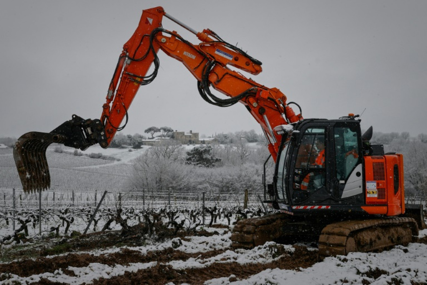 Une pelle arrache des vignes à Haux, à environ 25 km au sud-est de Bordeaux, le 18 janvier 2023 © ROMAIN PERROCHEAU