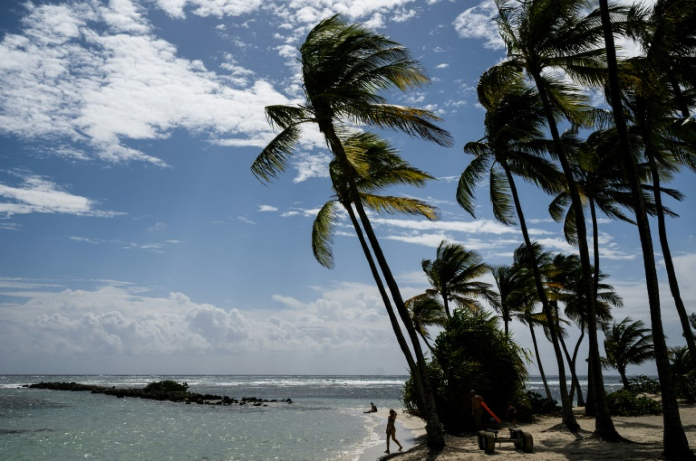 Plage de Sainte-Anne, en Guadeloupe, le 14 novembre 2022 © LOIC VENANCE