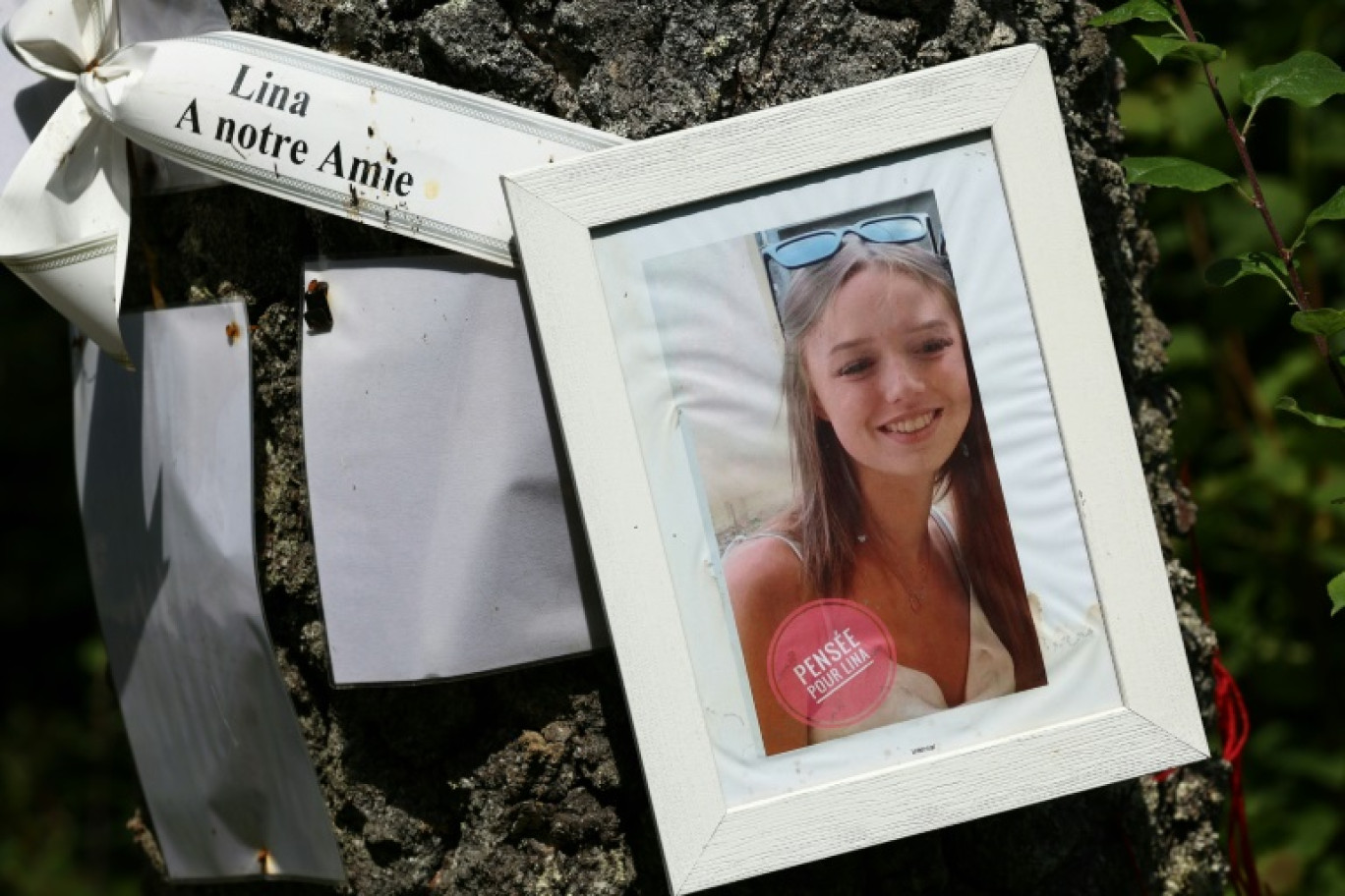 Un portrait de Lina est accroché à un arbre près de l'endroit où elle a disparu, le 30 juillet 2024 à Saint-Blaise-la-Roche, dans le Bas-Rhin © FREDERICK FLORIN