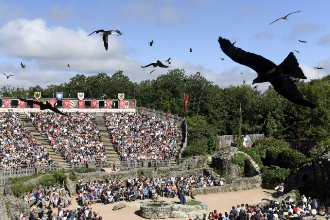 Un spectacle d'oiseaux au Puy du Fou, le 14 août 2018 © SEBASTIEN SALOM GOMIS