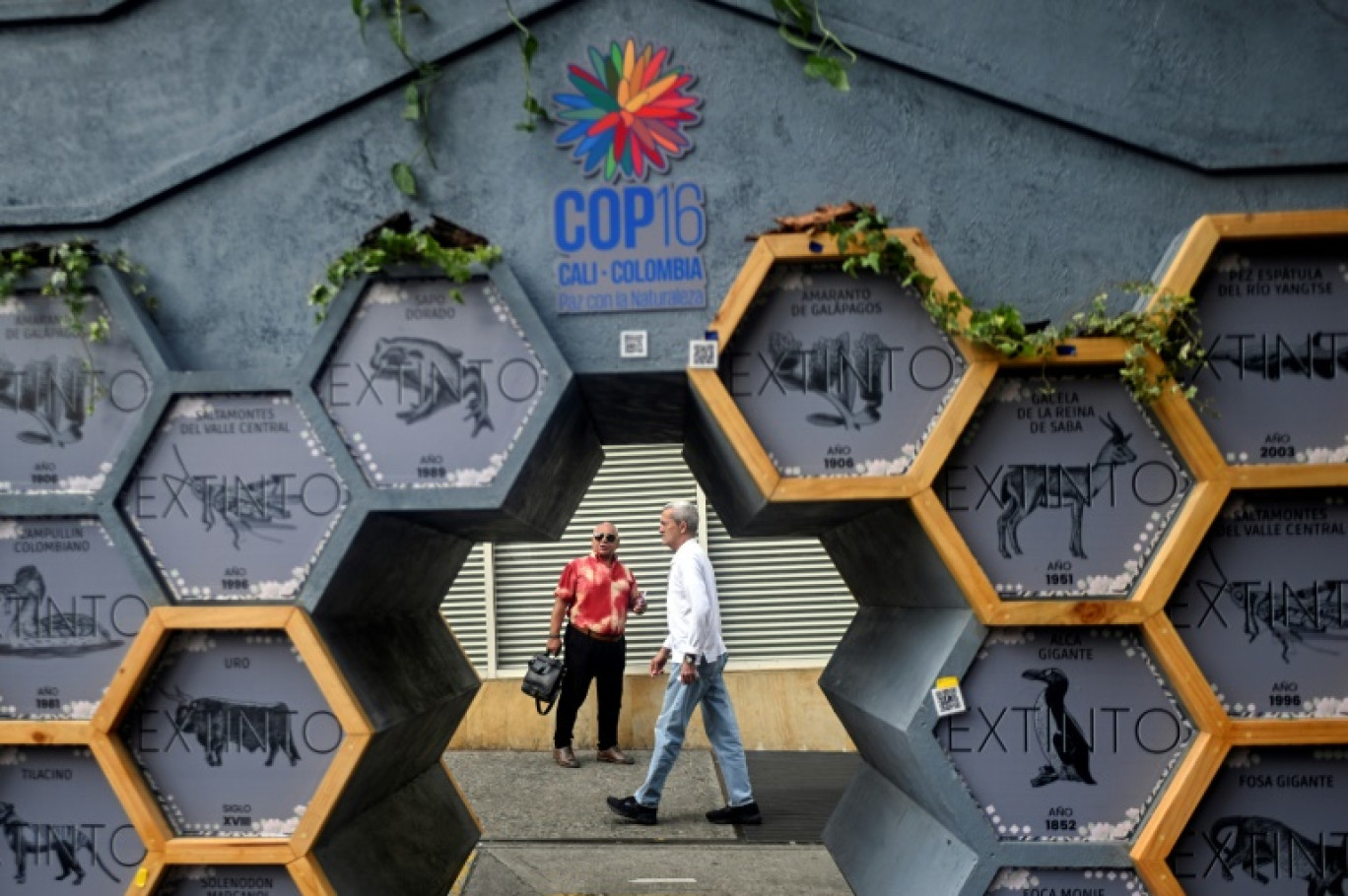 Des personnes passent devant une exposition d'espèces disparues dans la zone verte du sommet COP16 à Cali, en Colombie, le 28 octobre 2024. © JOAQUIN SARMIENTO