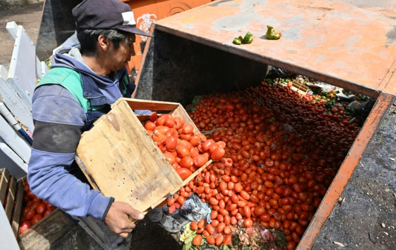 Un homme jette des tomates, arrivées en mauvais état à cause des barrages routiers, dans une poubelle d'un marché de Cochabamba, en Bolivie, le 30 octobre 2024 © AIZAR RALDES