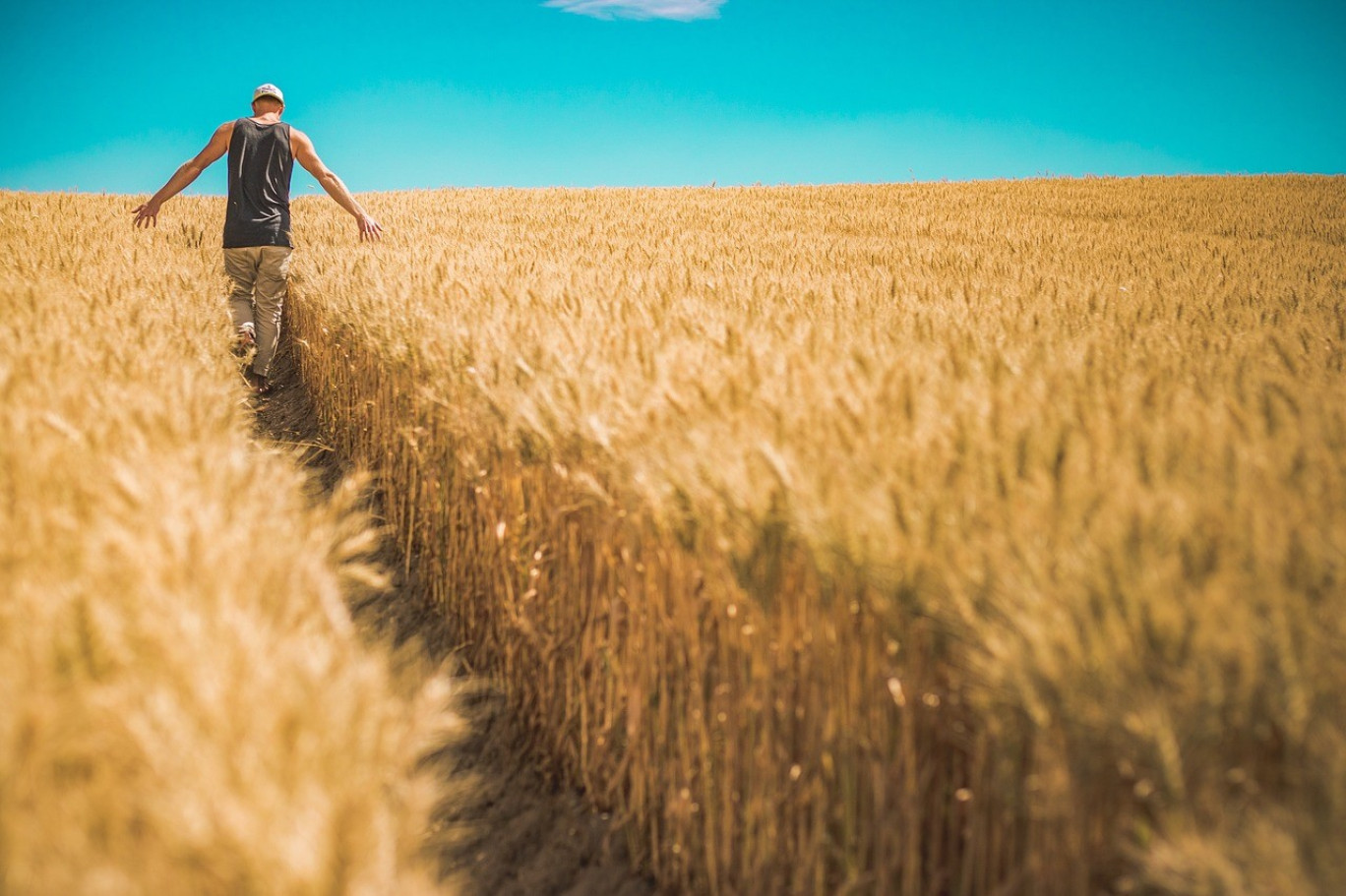 Dans la région, la moitié des agriculteurs partiront à la retraite d’ici la fin de la décennie. 