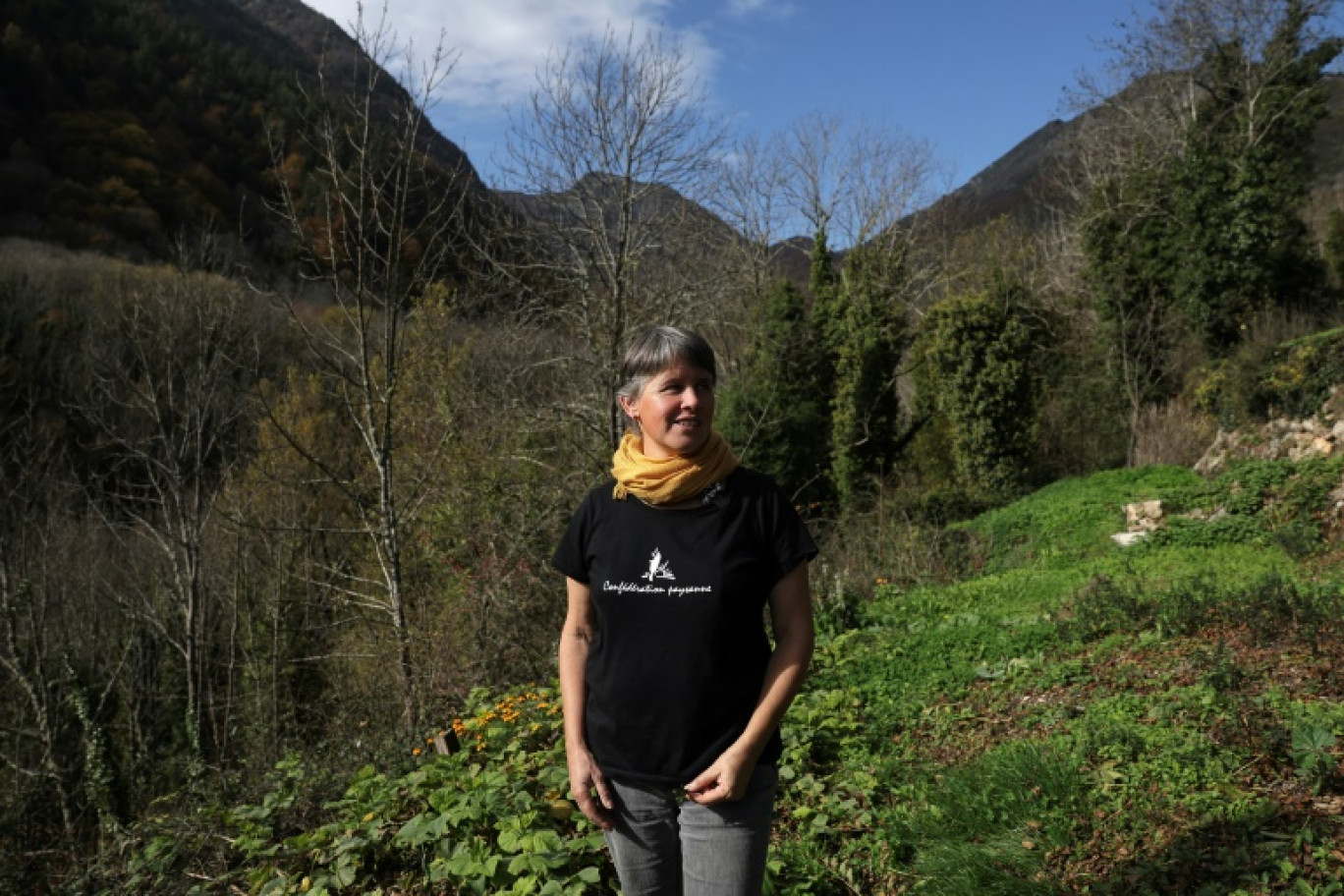 Laurence Marandola, éleveuse de lamas et porte-parole du syndicat agricole Confédération Paysanne, dans sa ferme d'Auzat, le 31 octobre 2024 en Ariège © Valentine CHAPUIS