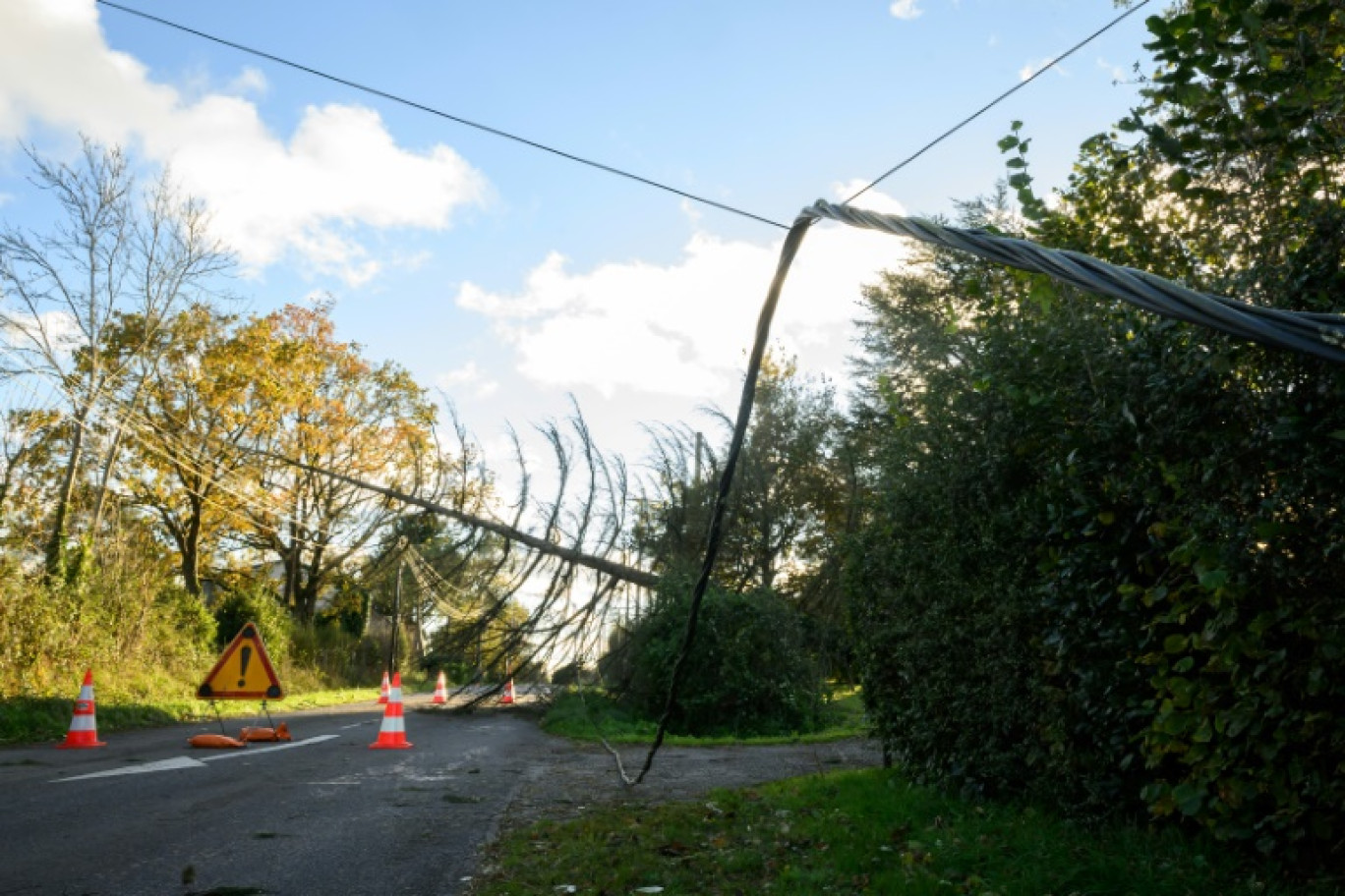 Une ligne à haute tension tombée au sol en bordure de route après des vents violents liés à la tempête Caetano, le 21 novembre 2024 à Lavau-sur-Loire, en Loire-Atlantique © Loic VENANCE