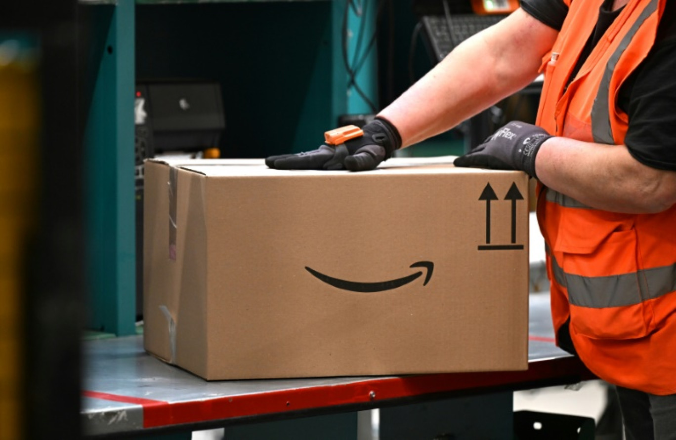 Un colis avec le logo Amazon, dans un centre d'acheminement du géant américain à Werne en Allemagne, le 21 novembre 2024 © Ina FASSBENDER