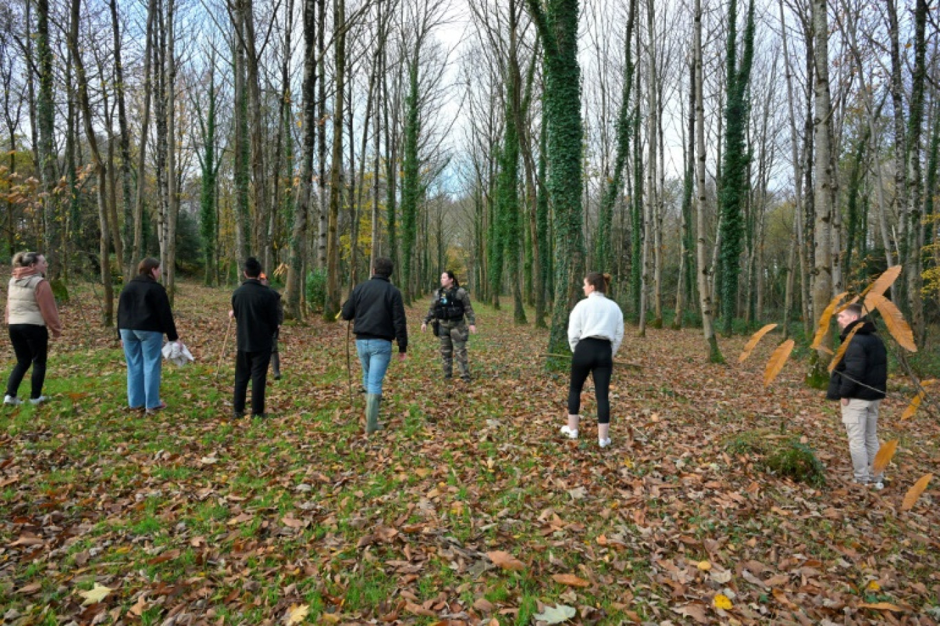 Opération de recherche organisée par la gendarmerie pour retrouver Morgane Rivoal, 13 ans, autour de Pabu proche de Guingamp dans les Côtes-d'Armor le 29 novembre 2024 © Damien MEYER