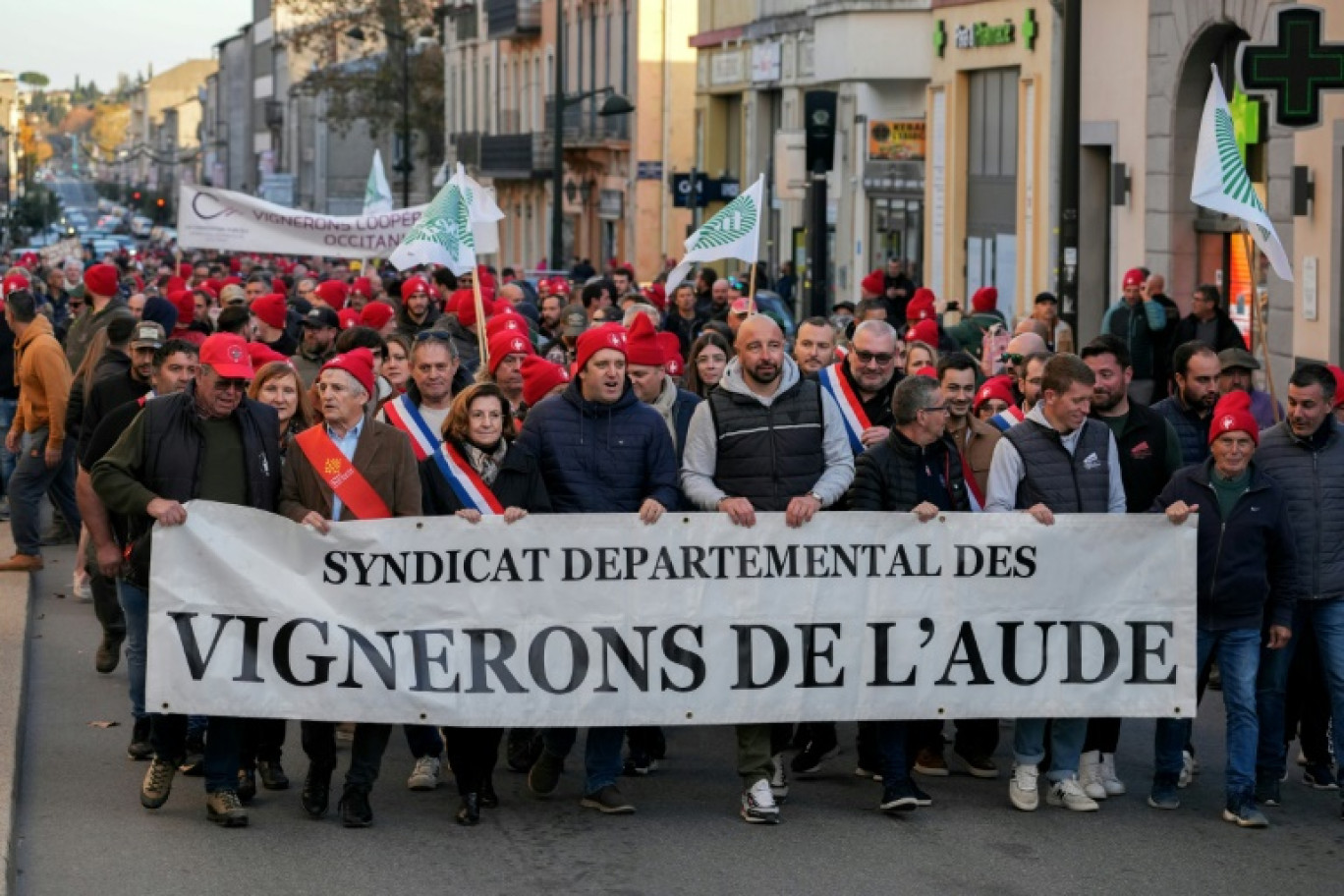 Entre 1.500 et 2.500 personnes ont manifesté à manifestation organisée par les viticulteurs locaux du département de l'Aude pour défendre les intérêts de la filière à Carcassonne, le 30 novembre 2024 © IDRISS BIGOU-GILLES