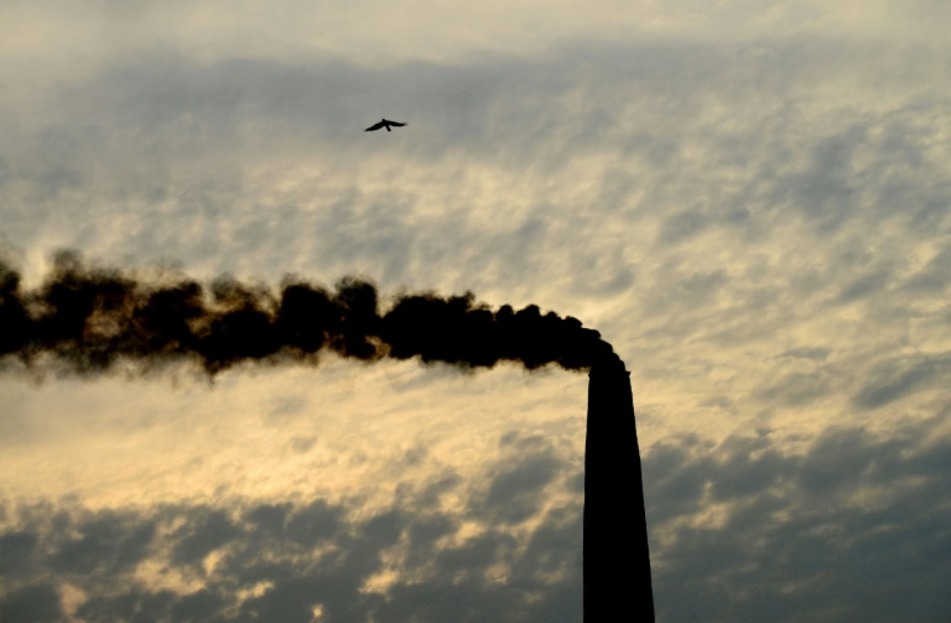 La plus haute juridiction de l'ONU entame lundi à La Haye des audiences historiques visant à définir les obligations juridiques des pays face au changement climatique et pour aider les nations vulnérables à le combattre © Shammi MEHRA