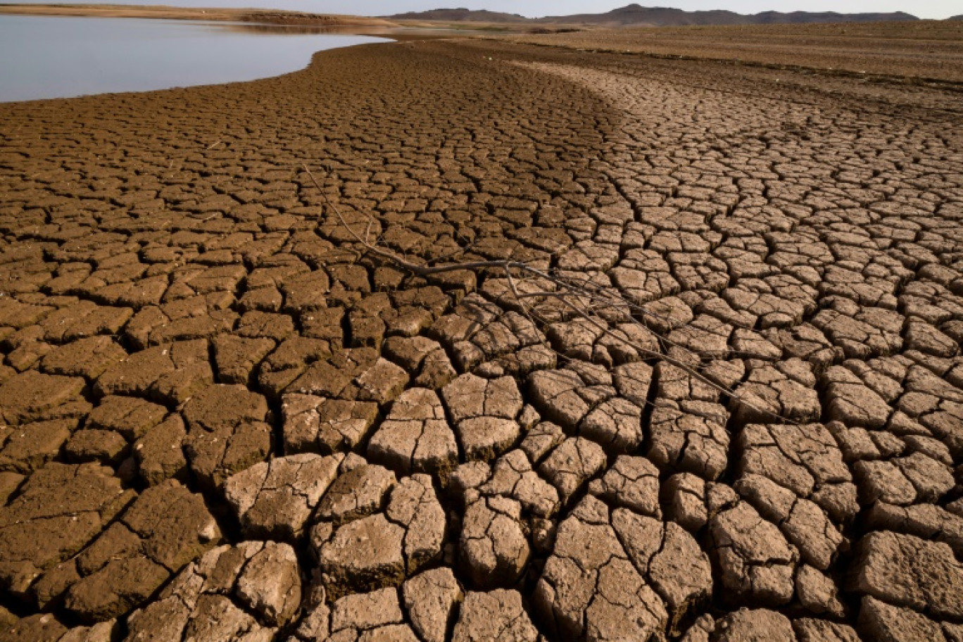 Le sol desséché du barrage d'al-Massira dans le village d'Ouled Essi Masseoud, au sud de Casablanca, le 6 mars 2024 au Maroc © Fadel SENNA