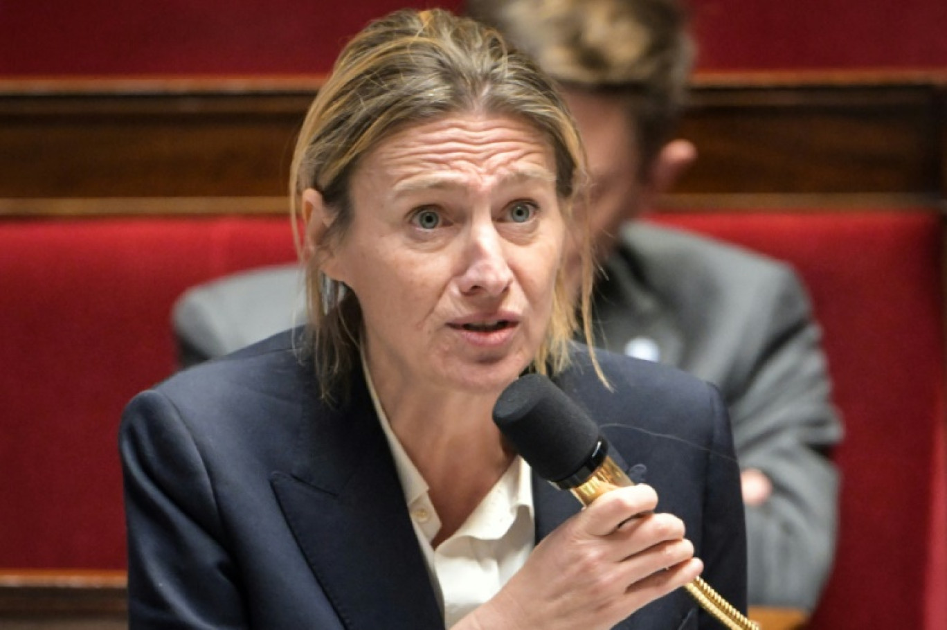 La ministre du travail Astrid Panosyan-Bouvet à l'Assemblée nationale le 6 novembre 2024. © Bertrand GUAY