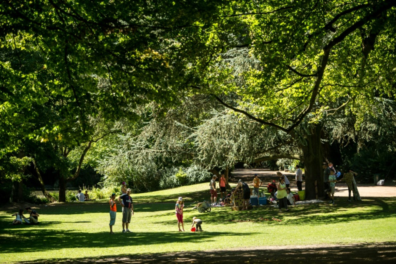 Un parc à Lille, le 24 août 2016 © PHILIPPE HUGUEN