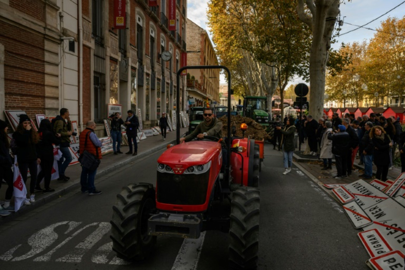 Des agriculteurs participent à une manifestation organisée par le syndicat Jeunes Agriculteurs (JA) devant la préfecture des Pyrénées-Orientales à Perpignan, le 26 novembre 2024 © Ed JONES