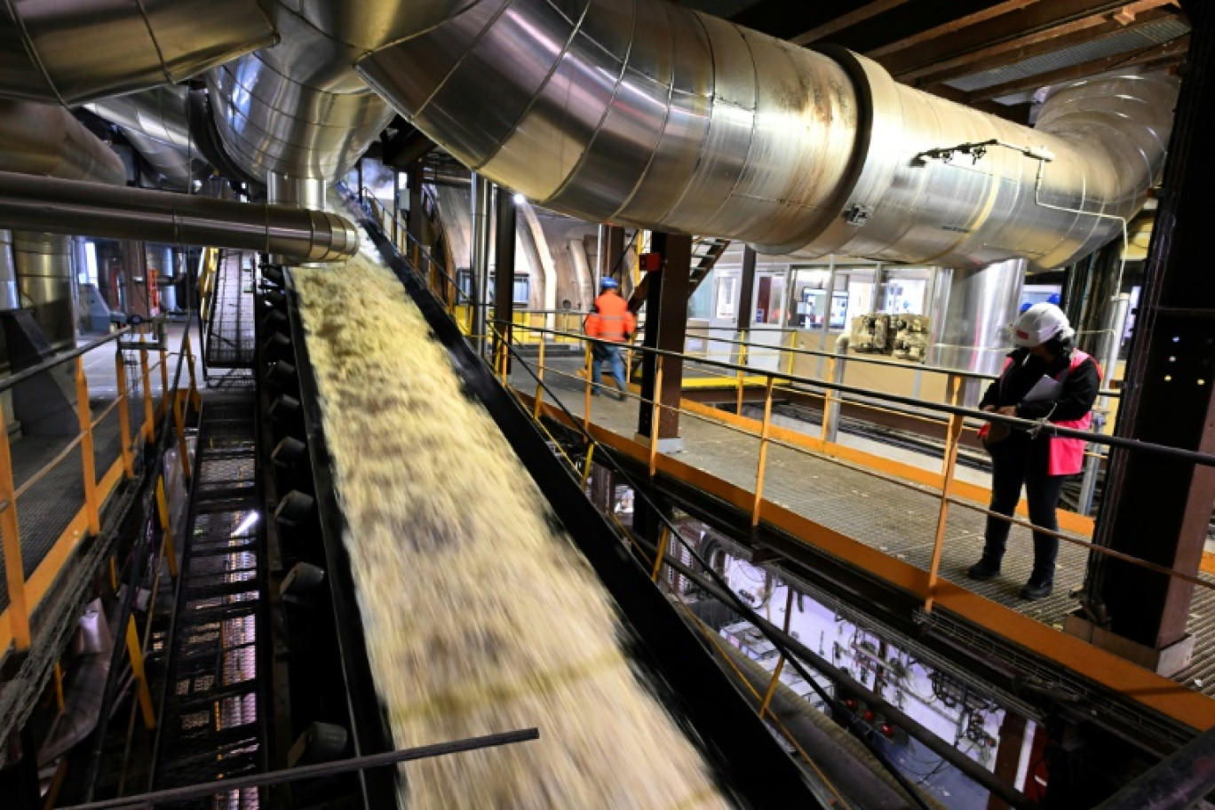 Un ouvrier surveille la pulpe de betterave sur un tapis roulant sur le site de la sucrerie du groupe Cristal-Union à Villers-Faucon, dans la Somme, le 4 novembre 2020 © FRANCOIS NASCIMBENI