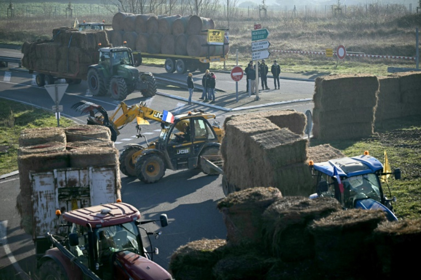 Des agriculteurs construisent un « mur des cons » avec 578 bottes de paille, chacune représentant des députés et le président Emmanuel Macron, lors d'une manifestation organisée par le syndicat de la Coordination rurale à Auch, le 12 décembre 2024 © Lionel BONAVENTURE