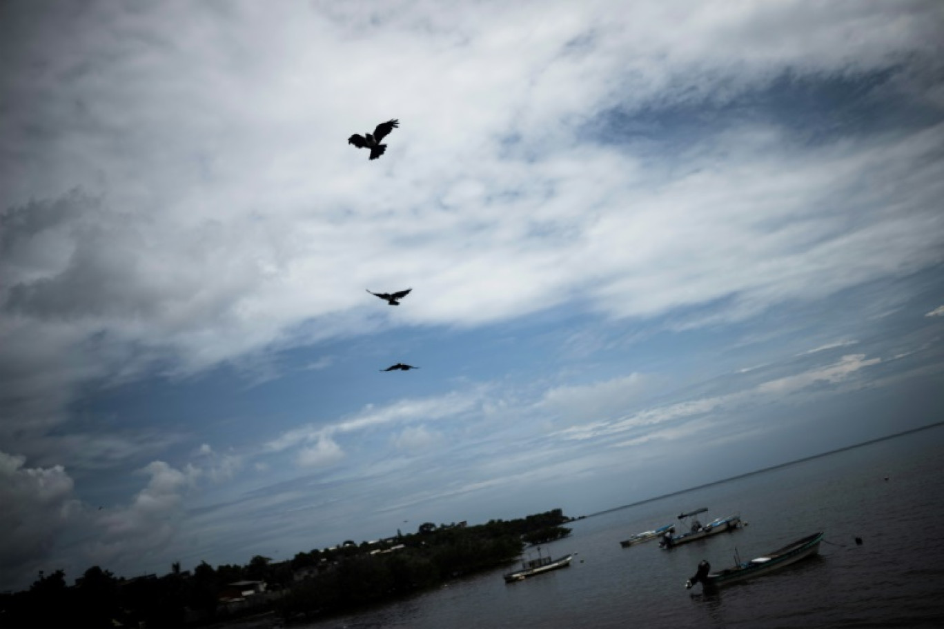 Des oiseaux volent au-dessus du port à Mamoudzou, sur l'île française de Mayotte, le 19 février 2024 © JULIEN DE ROSA