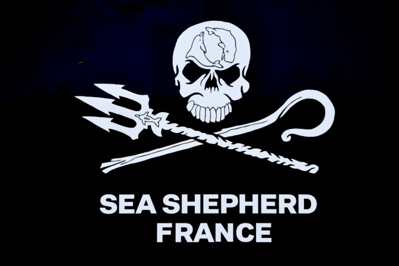 Logo de l'association Sea Shepherd France © STEPHANE DE SAKUTIN