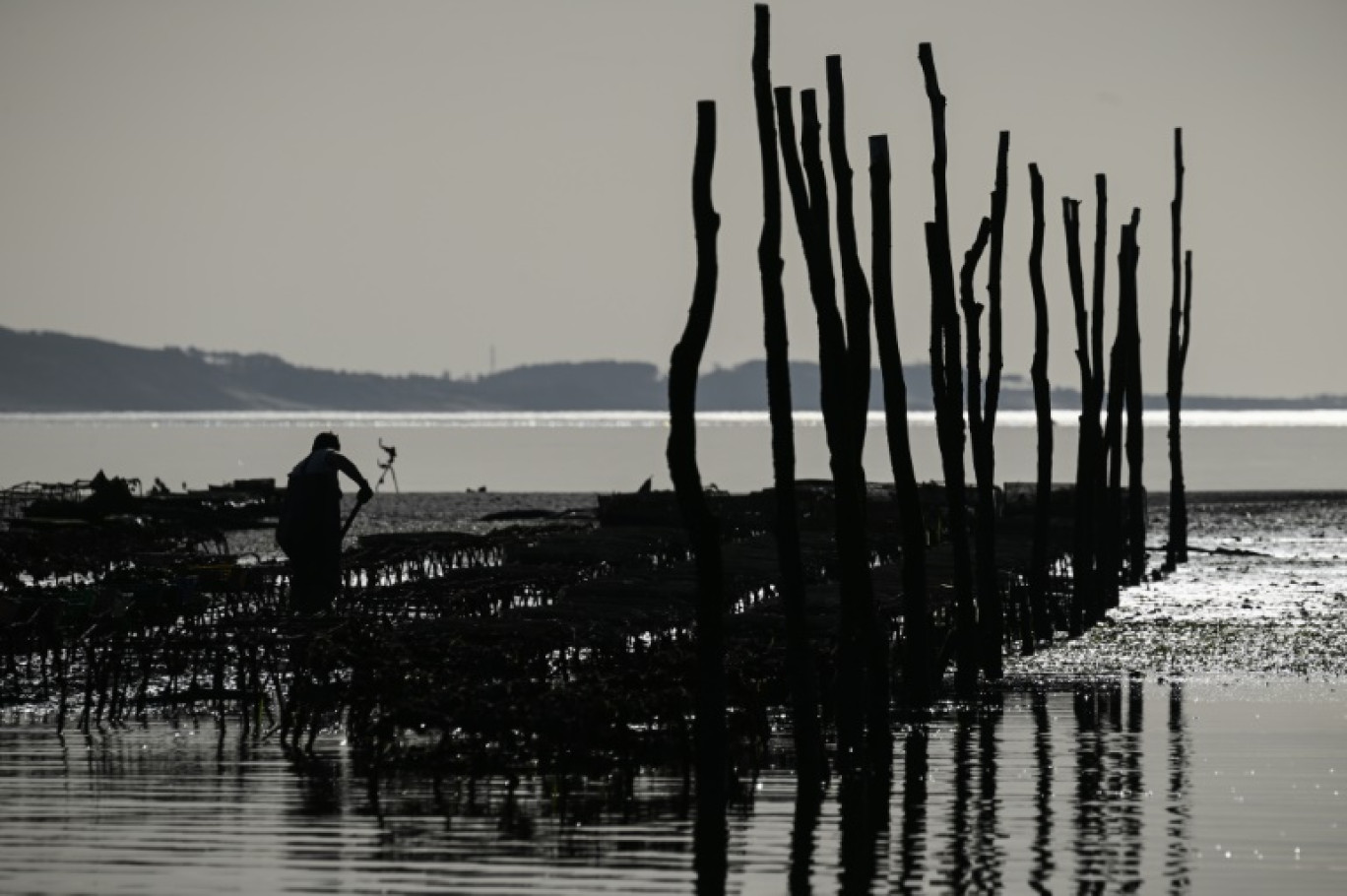 Un ostréiculteur travaille au large d'Arcachon, dans la Gironde, le 18 décembre 2024 © Philippe LOPEZ