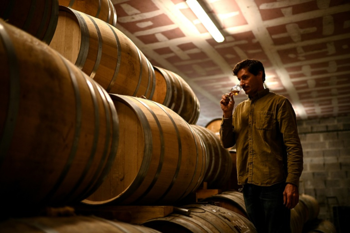 Un producteur de cognac goûte sa production le 15 octobre à Segonzac, dans le sud-ouest de la France © Christophe ARCHAMBAULT