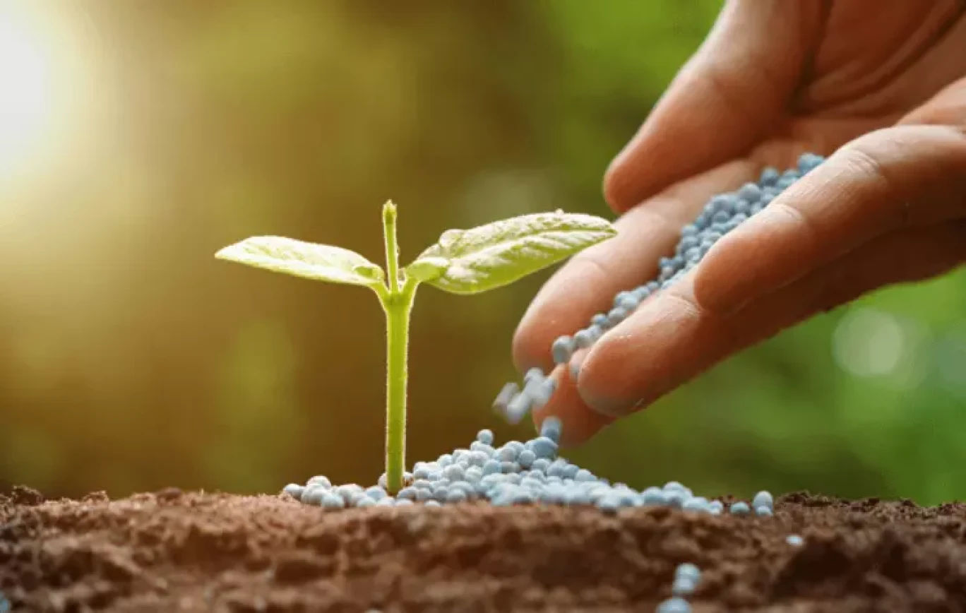 Le projet de production d'engrais vert bas-carbone pour la souveraineté alimentaire et industrielle, française et européenne. (© FertigHy)