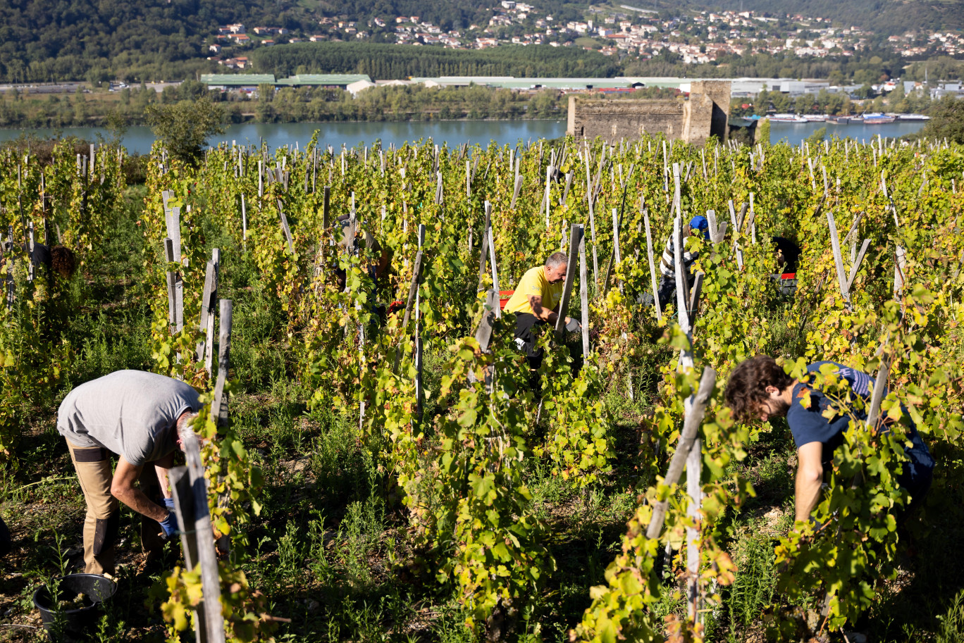 Le GFV-enligne.com travaille avec des domaines partout en France pour faciliter le maintien en activité des exploitants. © Simon Bianchetti