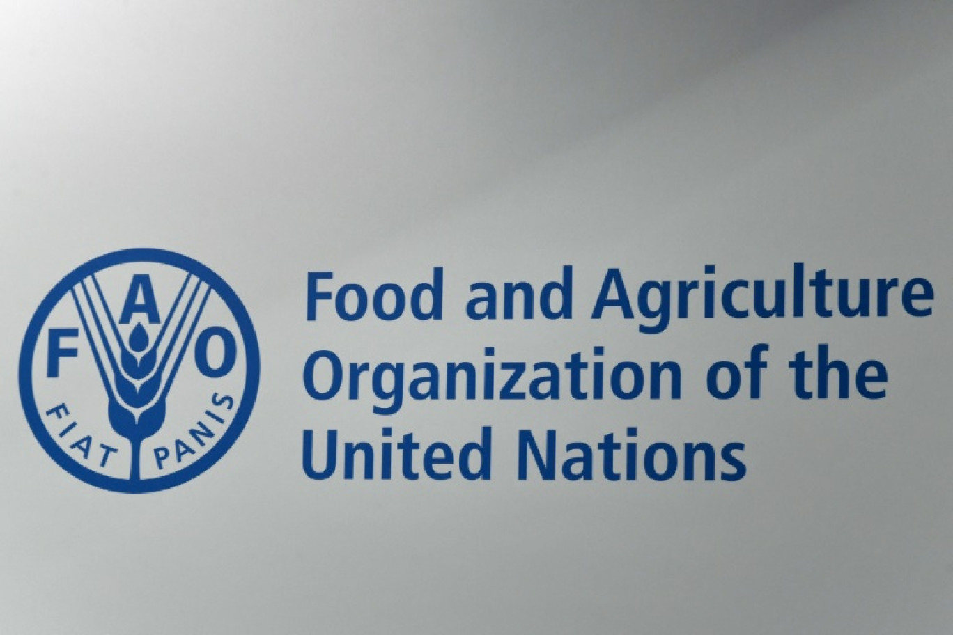 Logo de l'Organisation des Nations unies pour l'alimentation et l'agriculture (FAO), lors d'une assemblée plénière le 23 juin 2019, au siège de l'organisation à Rome © Vincenzo PINTO