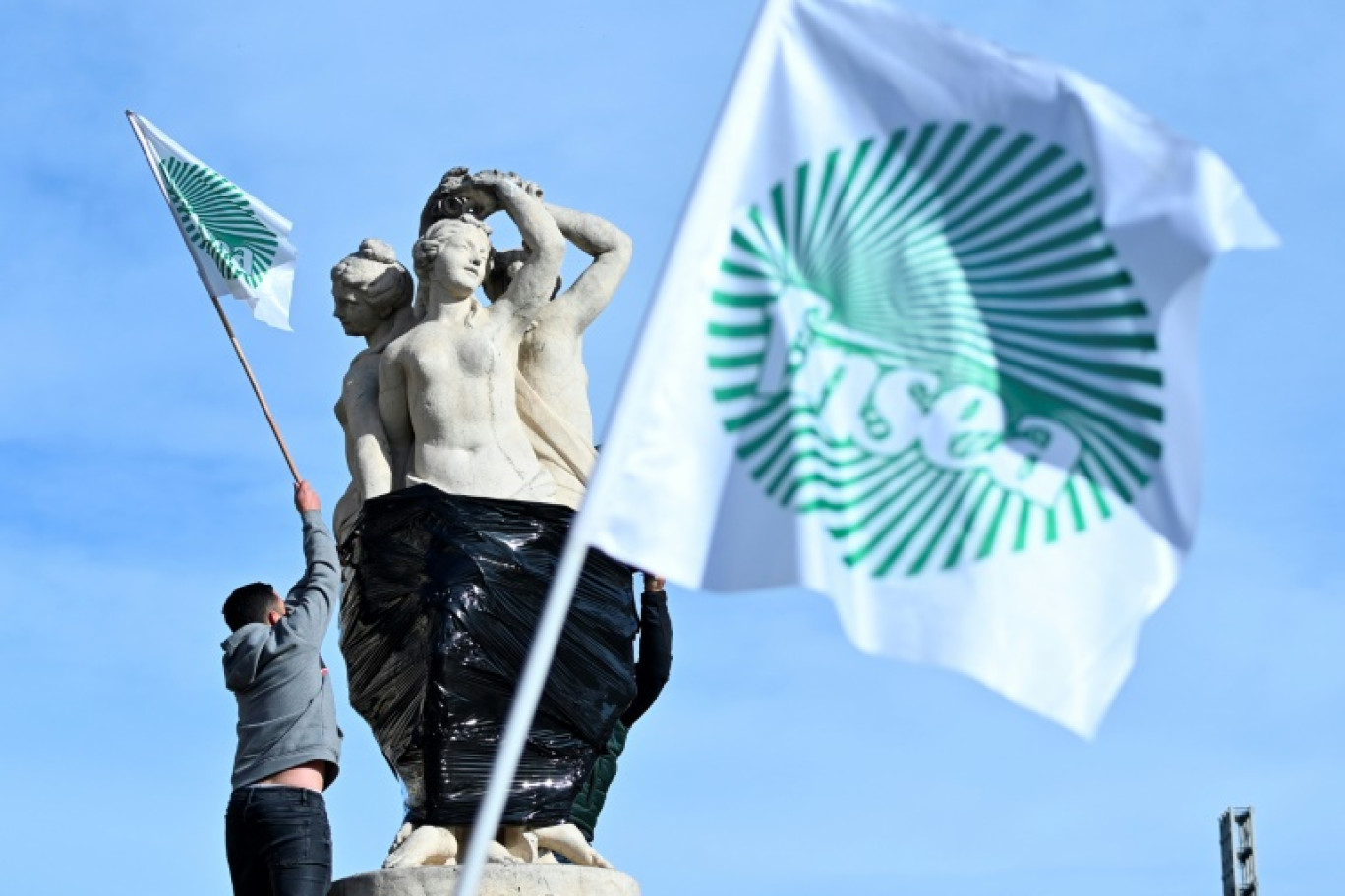 Des drapeaux de la FNSEA, principal syndicat agricile français, à Montpellier le 18 novembre 2024 (ARCHIVES) © Sylvain THOMAS