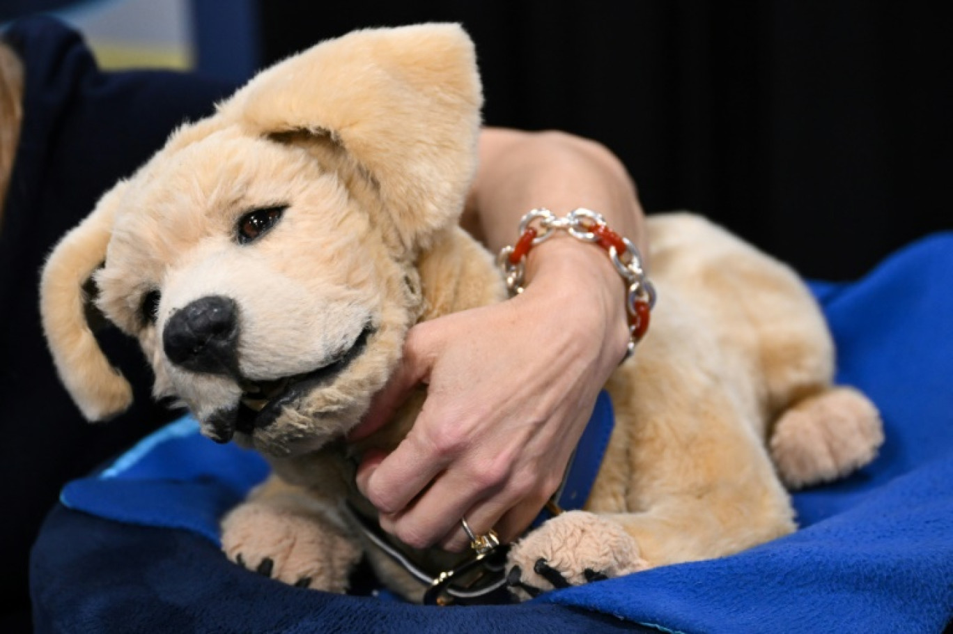 Le robot chiot Tombot, présenté au CES de Las Vegas le 7 janvier 2025, a été conçu pour servir de compagnon aux personnes atteintes de démence © Patrick T. Fallon