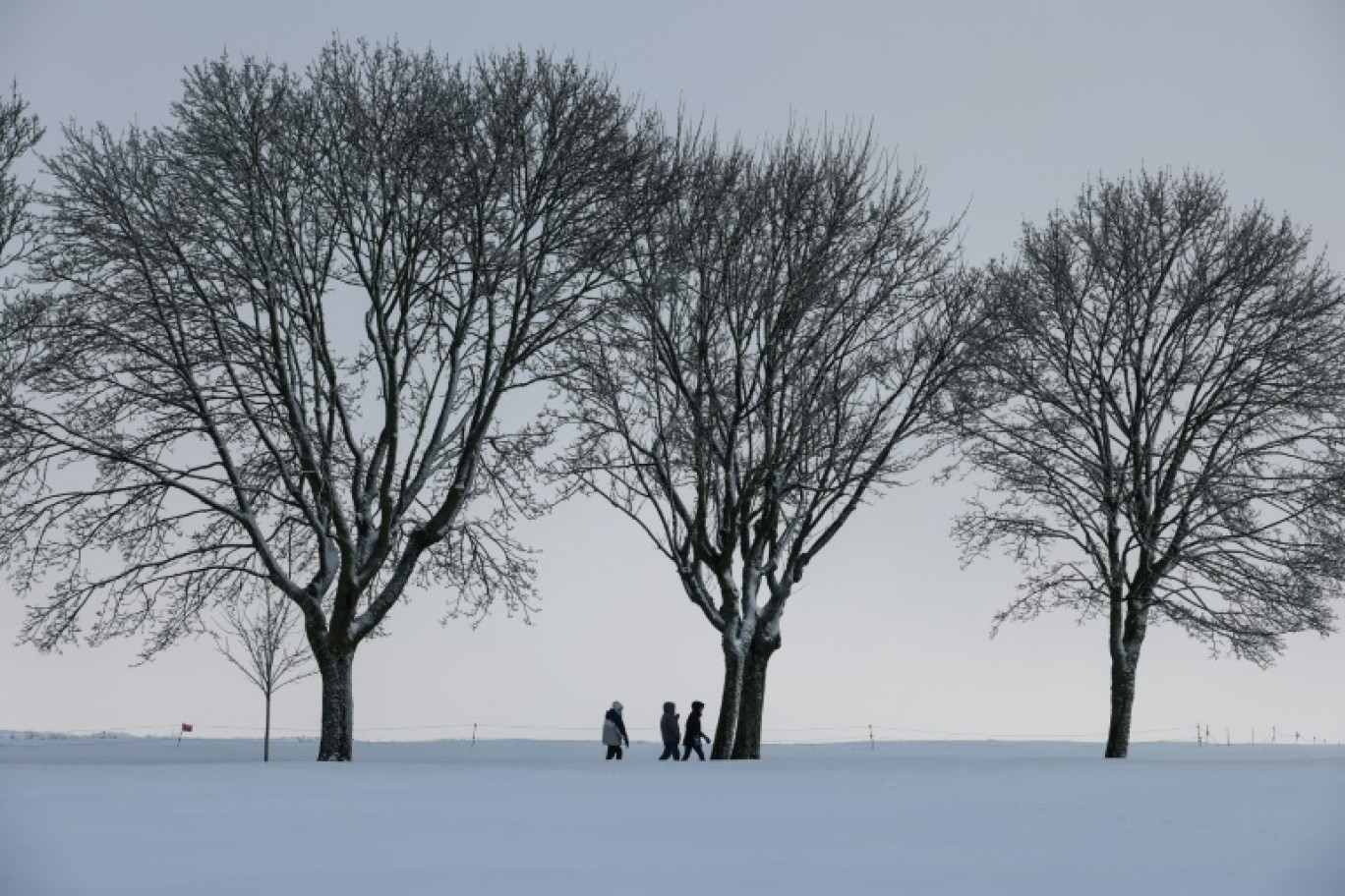 Paysage enneigé au mémorial canadien de Vimy, dans le Pas-de-Calais, le 9 janvier 2025 © Denis Charlet