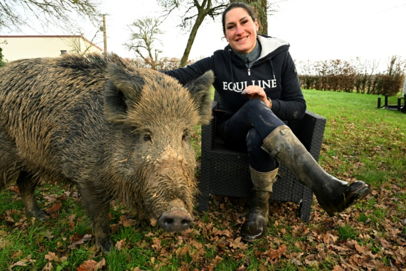 Elodie Cappé, une éleveuse de chevaux près de Chaource (Aube), pose pour l'AFP le 24 décembre 2024 avec son sanglier apprivoisé Rillette, dont les autorités réclament le placement dans une "structure adaptée" © FRANCOIS NASCIMBENI