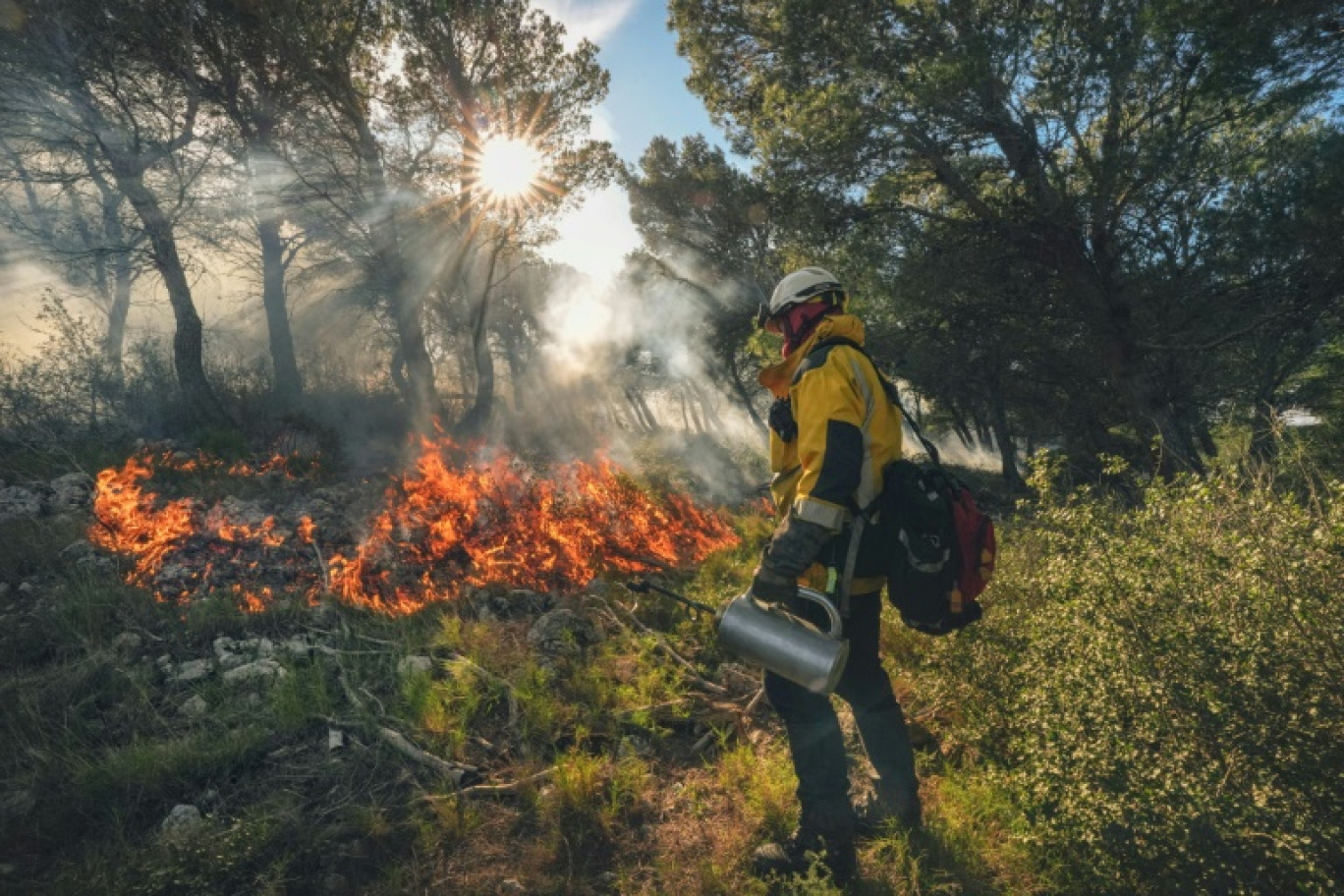 Une équipe de pompiers sur un chantier de brûlage dans une forêt de Bages, près de Narbonne dans l'Aude, le 18 janvier 2025 © IDRISS BIGOU-GILLES