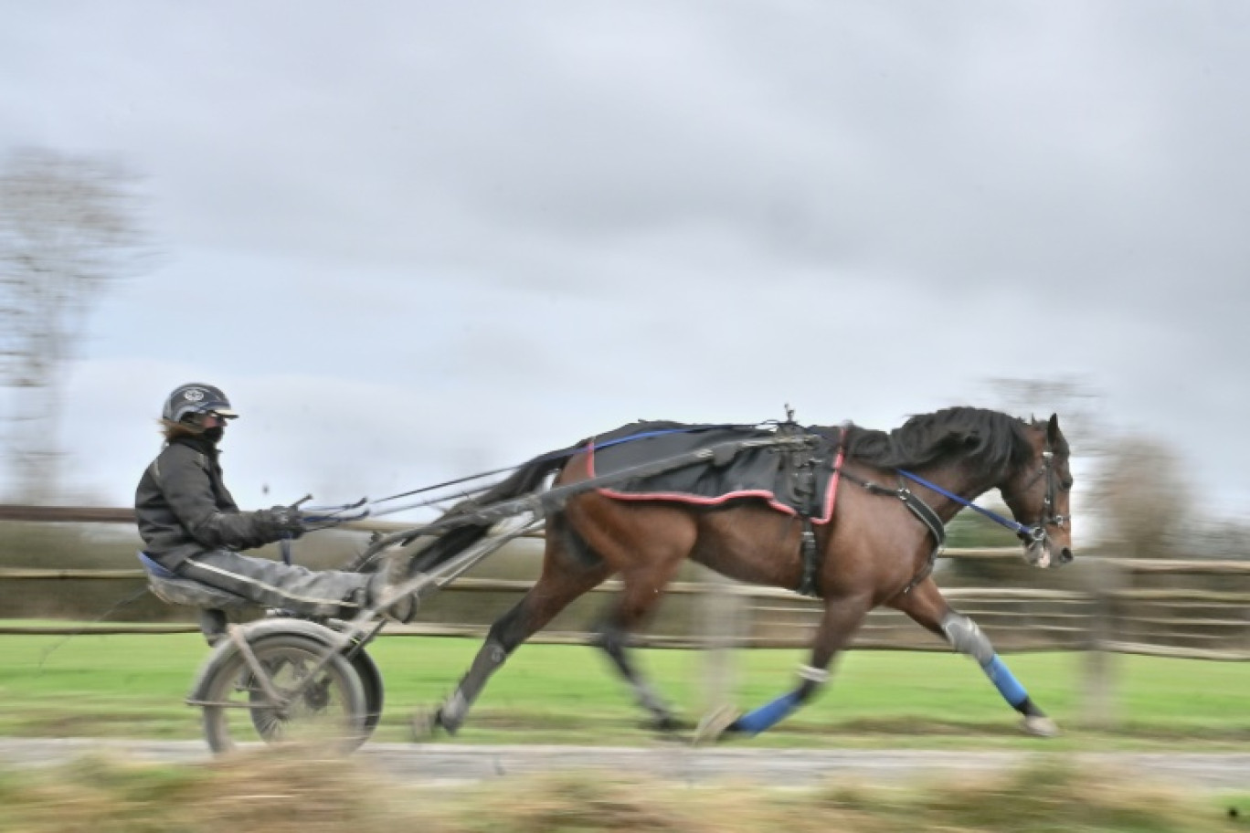 Le trotteur Idao de Tillard à l'entrainement chez Thierry Duvaldestin en Normandie à la Ferté-Fresnel, le 19 février 2024. © Lou BENOIST