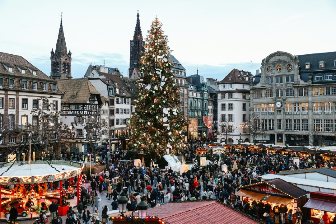 Le grand sapin trône au milieu de la Place Kléber, au centre de Strasbourg, à l'ouverture du marché de Noël, le 27 novembre 2024 © Abdesslam MIRDASS