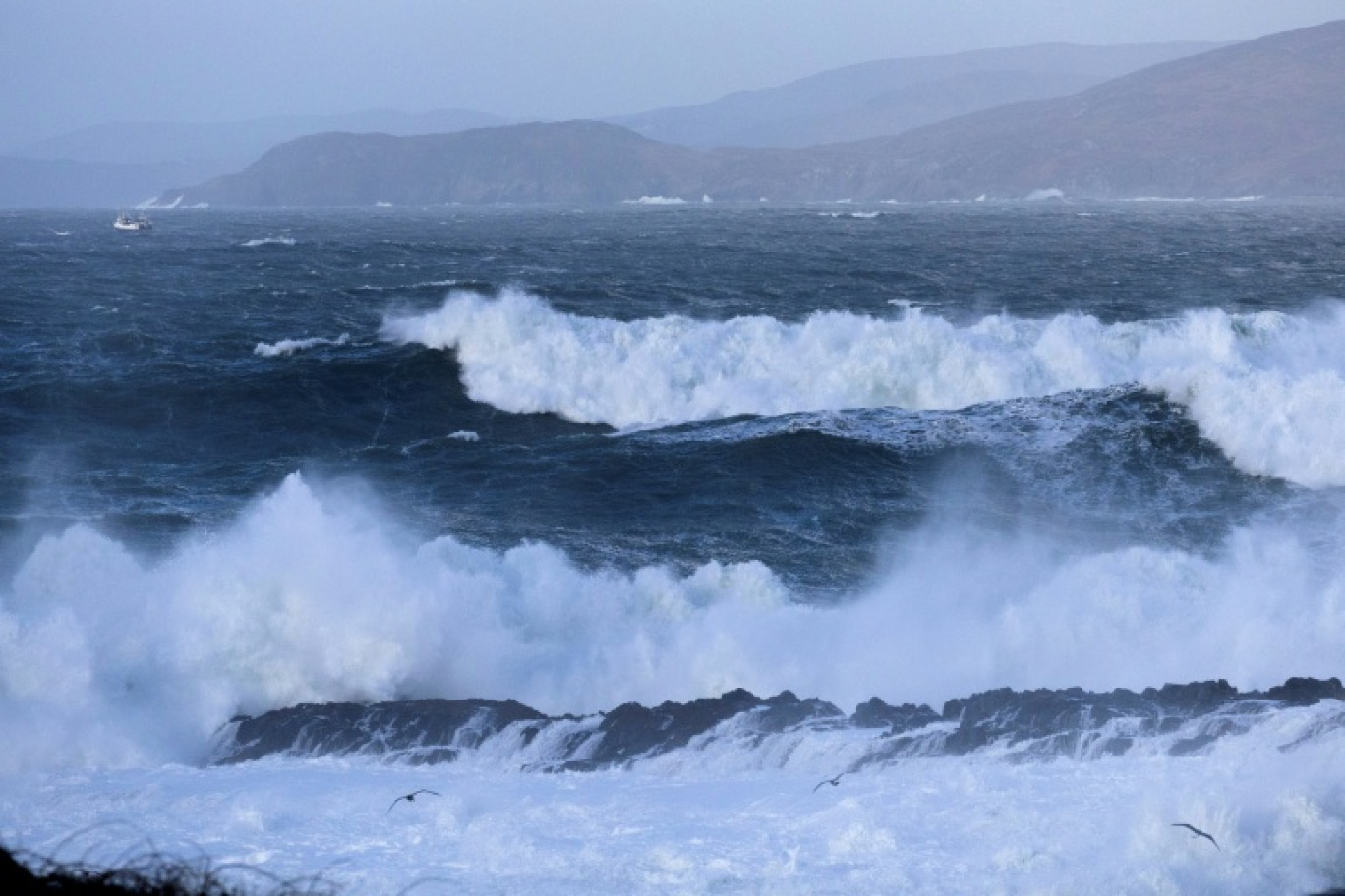 Vagues dans la Baie de Bantry Bay, dans le sud-ouest de l'Irlande, le 24 janvier 2025, lors du passage de la tempête Eowyn © Johannes EISELE