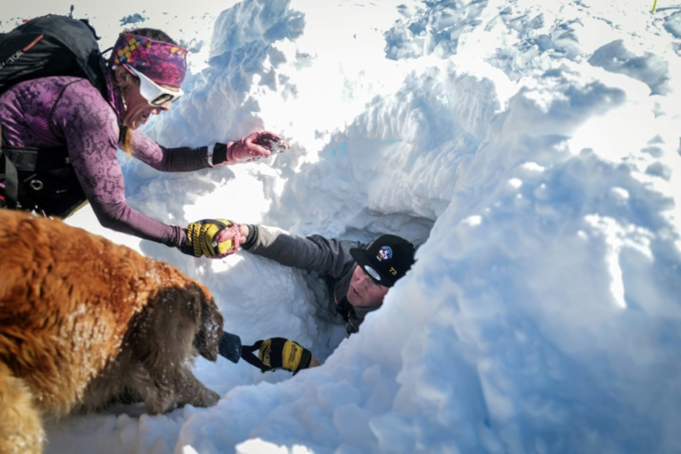 Un chien d'avalanche, des sauveteurs et des pisteurs participent à un entraînement à la station de ski de La Rosière, le 4 février 2025 en Savoie © OLIVIER CHASSIGNOLE