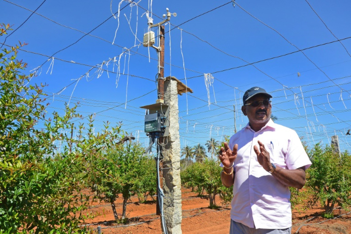 L'agriculteur indien Murali  devant un capteur utilisé par le logiciel d'intelligence artificiel qui l'aide à gérer sa plantation de grenadiers © -