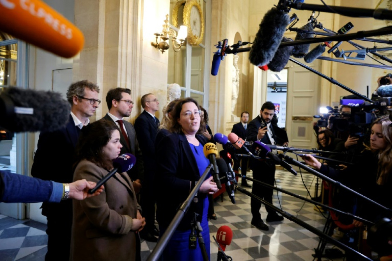 La présidente du groupe écologiste à l'Assemblée nationale Cyrielle Chatelain s'exprime devant la presse le 14 janvier 2025 à l'Assemblée à Paris © Ludovic MARIN