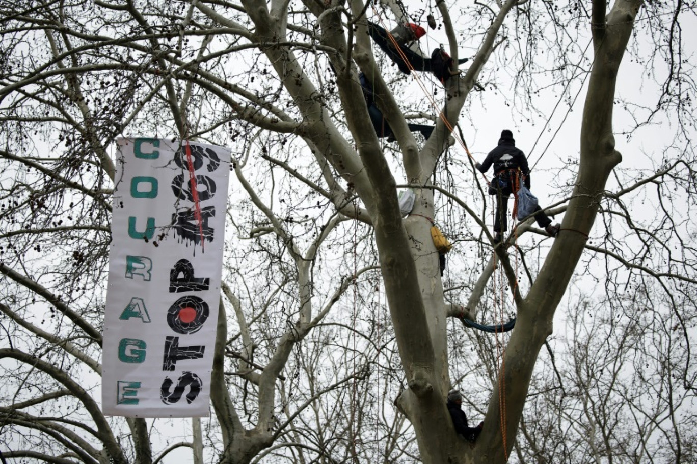 Des militants du GNSA (Groupe national de surveillance des arbres) perchés dans un arbre près d'une banderole "Courage, Stop A69" lors d'une manifestation contre la construction de l'autoroute A69, devant le tribunal administratif de Toulouse, le 17 février 2025 en haute-Garonne © Valentine CHAPUIS