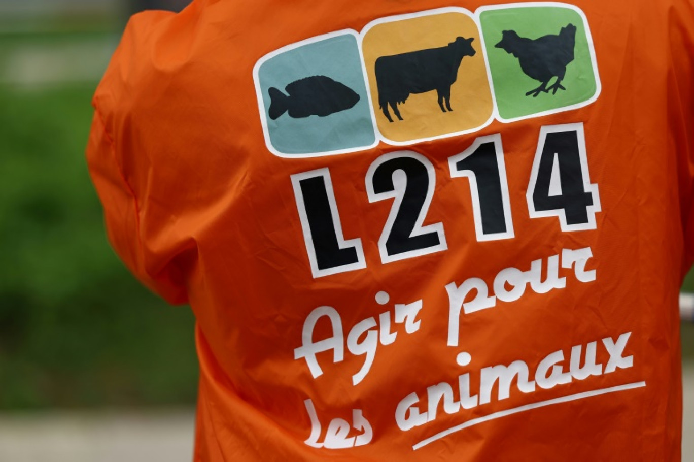 L'association animaliste L214 a porté plainte contre Lidl France et deux élevages porcins partenaires du distributeur, dénonçant avec de nouvelles images choc des cas de maltraitance animale et une "tromperie du consommateur" © Emmanuel Dunand