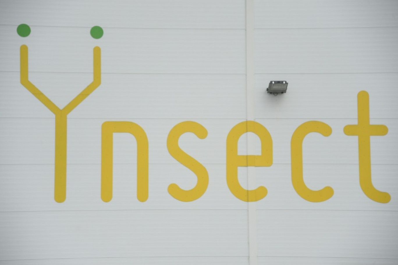 Aucune offre de reprise ou d'investissement n'a été déposée dans les temps pour la start-up Ynsect, spécialisée dans la production de protéines et d'engrais à base d'insectes © SEBASTIEN BOZON