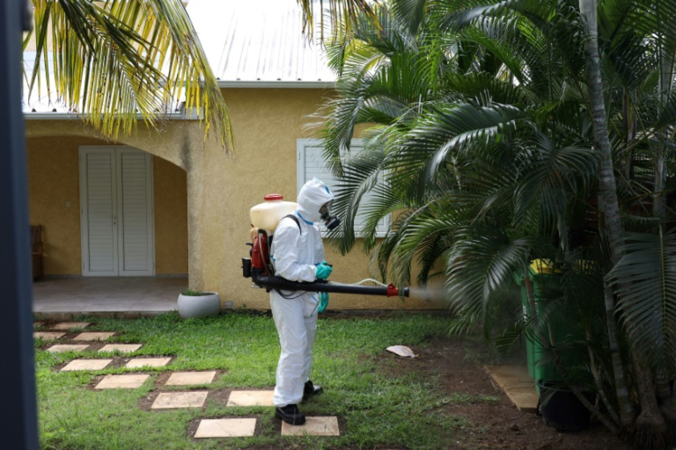 Opération de fumigation pour empêcher la prolifération des moustiques, à La Possession, le 28 avril 2020 sur l'île de La Réunion © Richard BOUHET